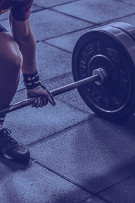 SportsLink-Bars_&_Bells